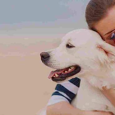 Köpeğinizin Düşünce Yapısı